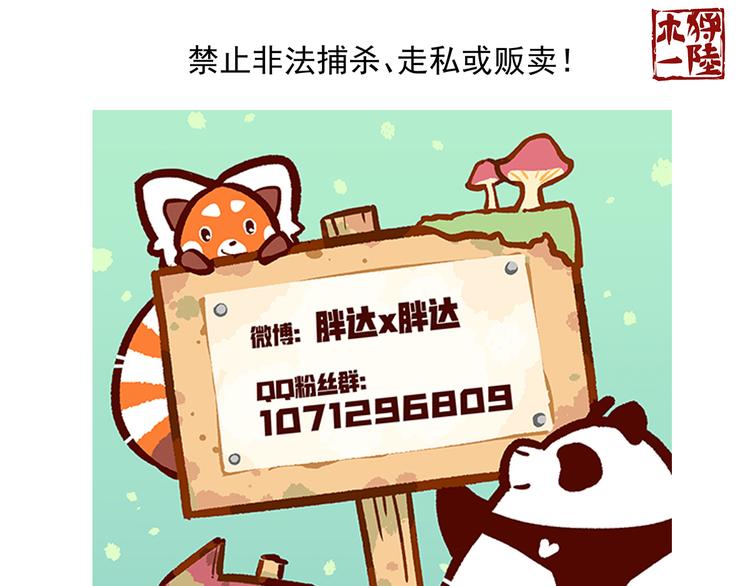 胖达熊猫棒球漫画,第49话1图