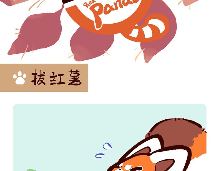 胖达熊猫棒球漫画,第25话1图
