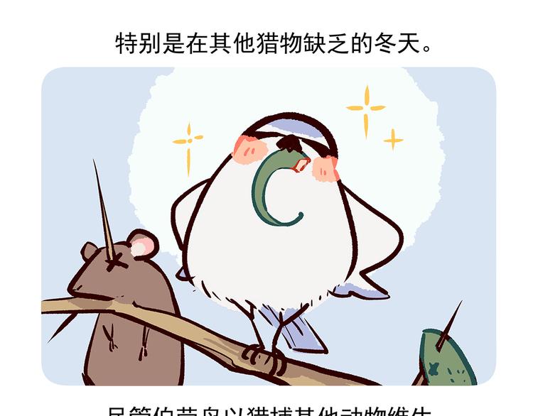 胖达熊猫棒球漫画,第53话2图