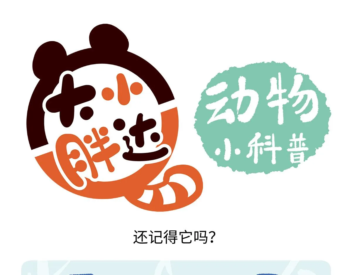胖达熊猫棒球漫画,第195话2图