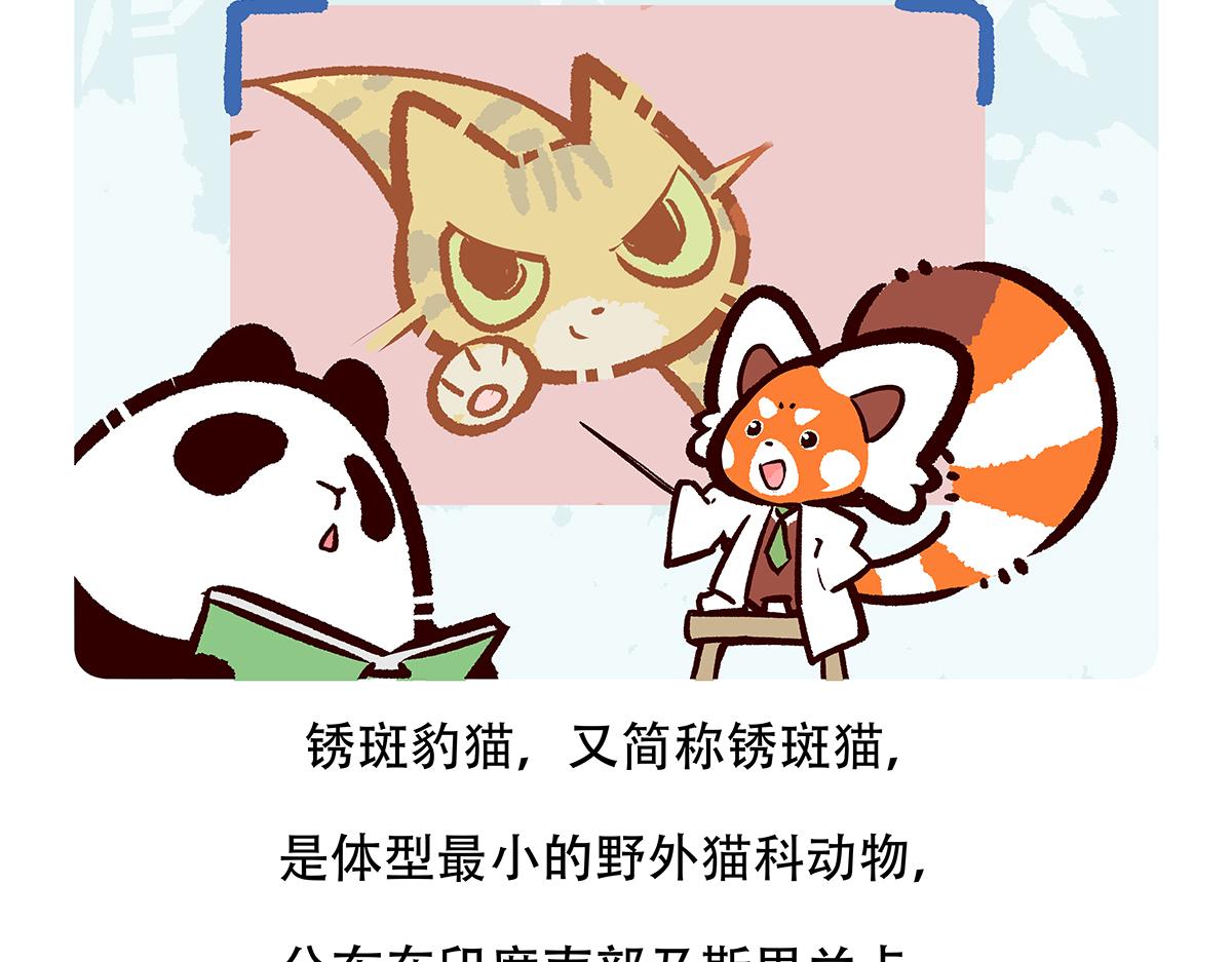 胖达熊猫棒球漫画,第116话1图