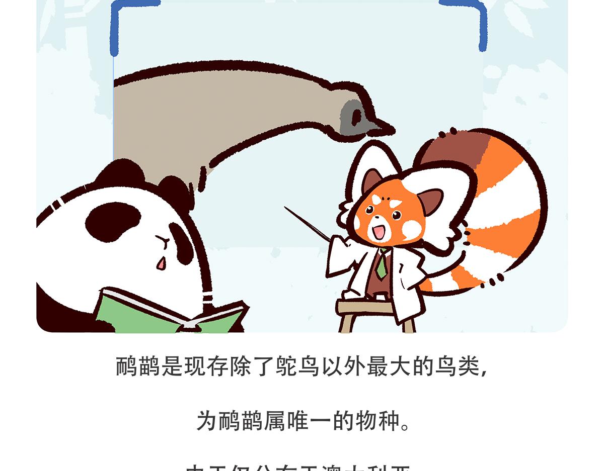 胖达熊猫棒球漫画,第104话1图