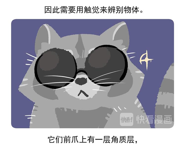 胖达熊猫棒球漫画,第47话1图