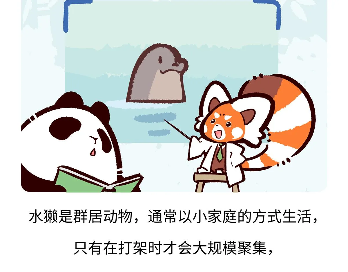 胖达熊猫棒球漫画,第202话2图