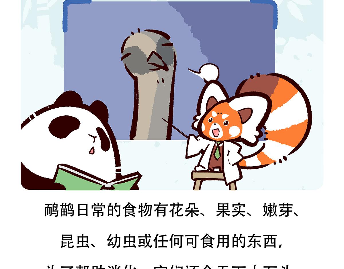 胖达熊猫棒球漫画,第105话2图