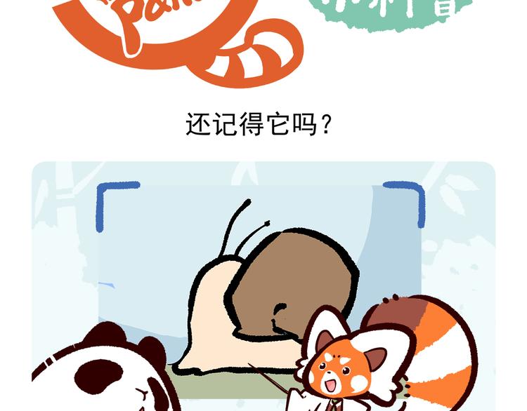 胖达熊猫棒球漫画,第4话1图