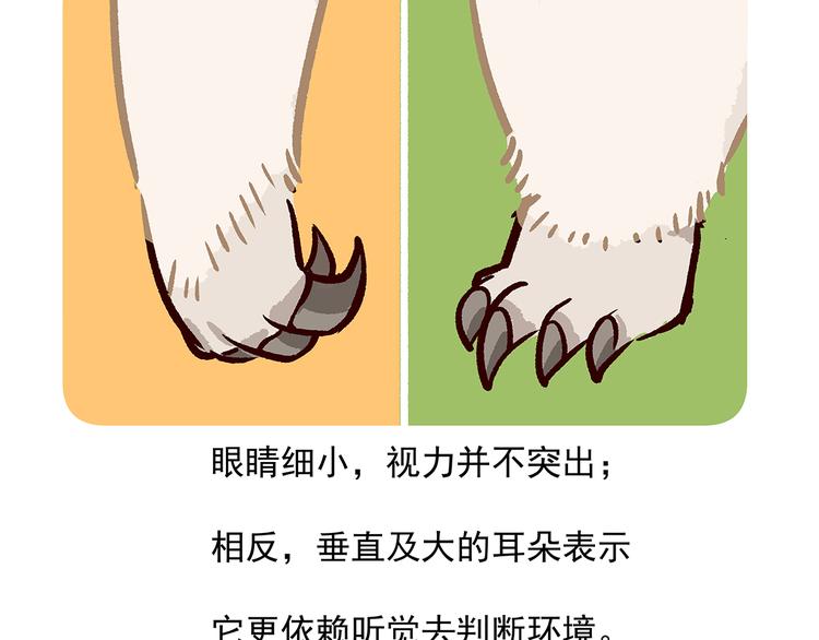 胖达熊猫棒球漫画,第22话2图