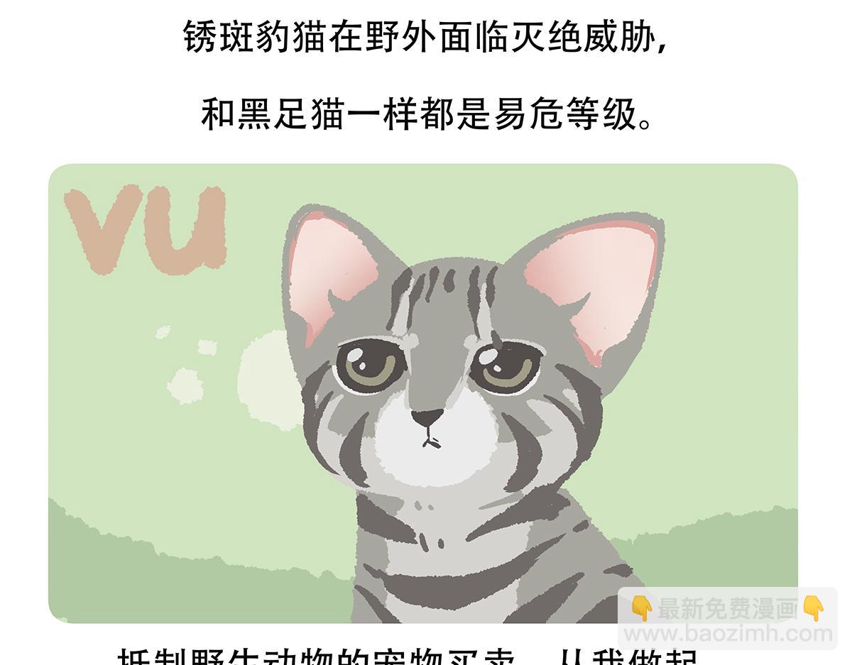 胖达熊猫棒球漫画,第116话1图