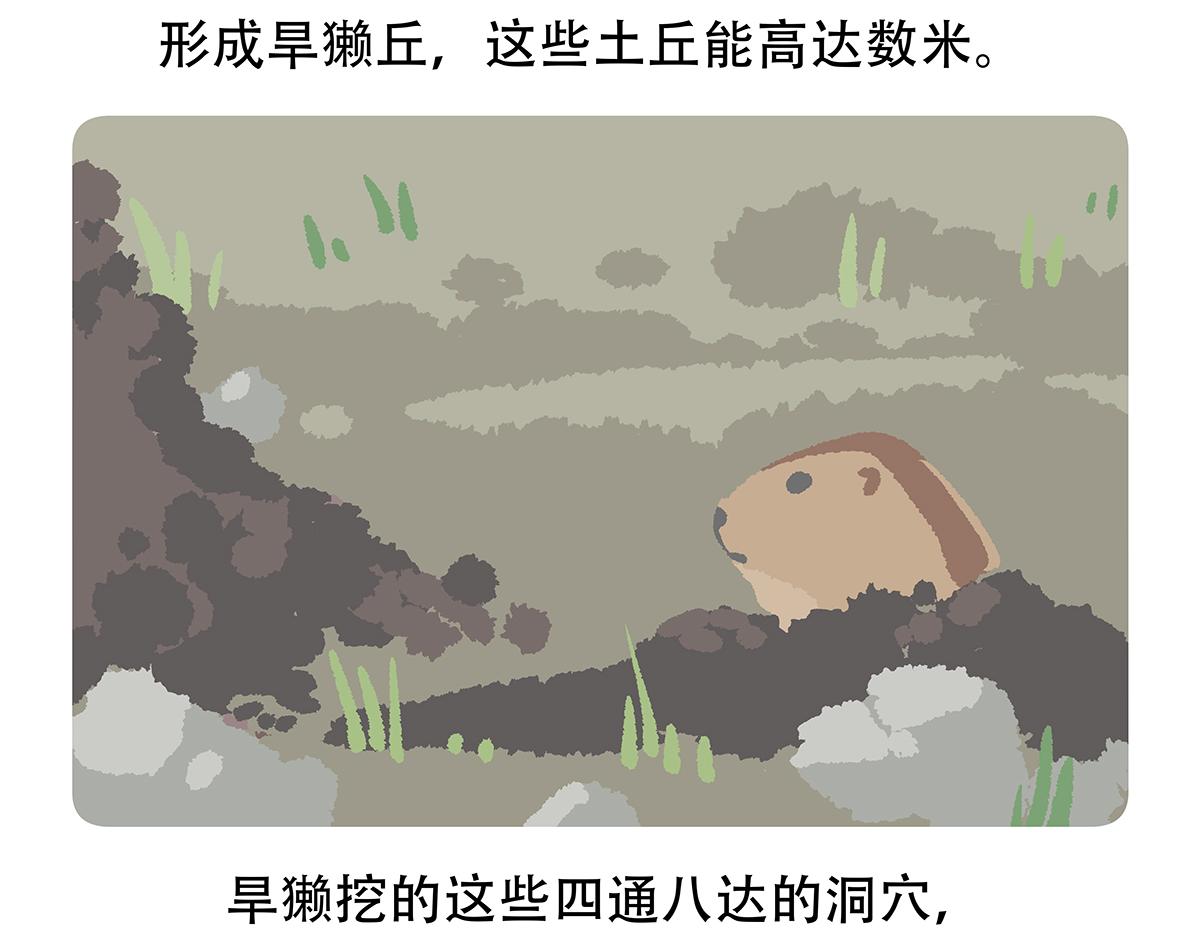 胖达熊猫棒球漫画,第89话2图