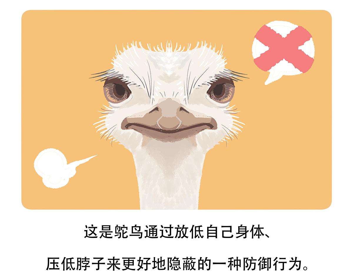 胖达熊猫棒球漫画,第104话1图