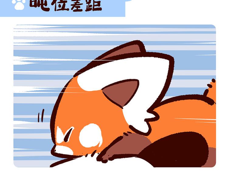 胖达熊猫棒球漫画,第18话2图