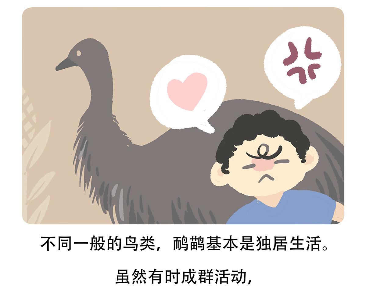 胖达熊猫棒球漫画,第105话1图