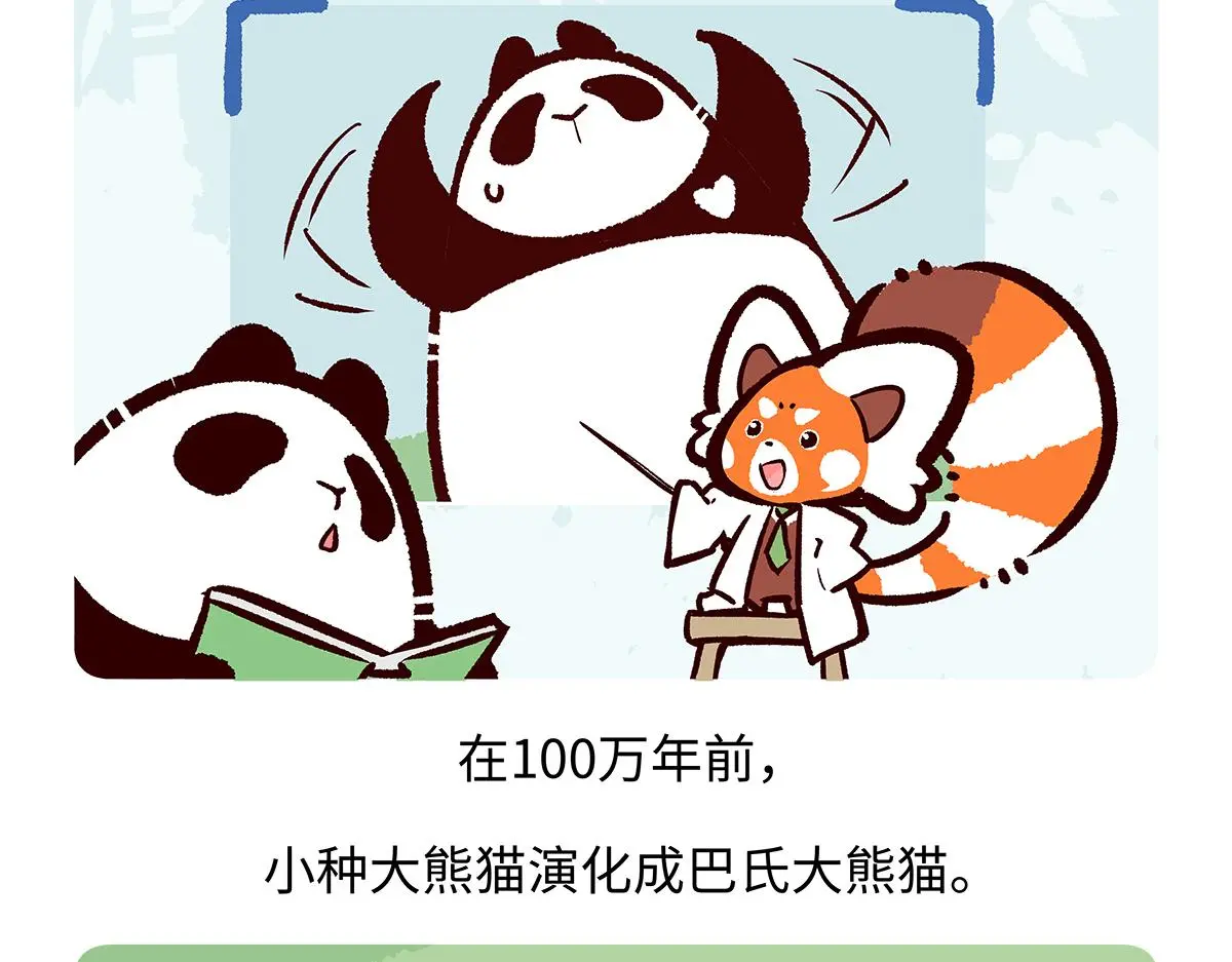 胖达熊猫棒球漫画,第182话1图