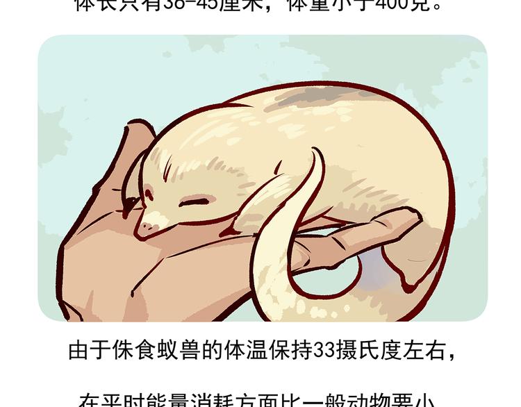 胖达熊猫棒球漫画,第22话1图