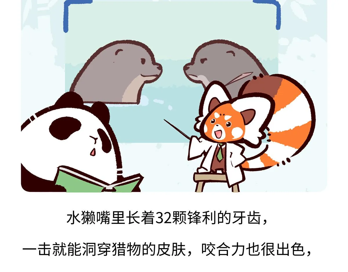 胖达熊猫棒球漫画,第202话1图