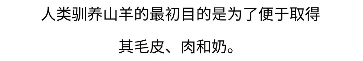 胖达熊猫棒球漫画,第170话2图