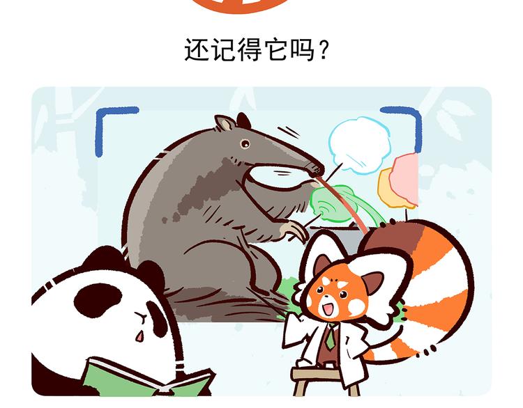 胖达熊猫棒球漫画,第22话2图