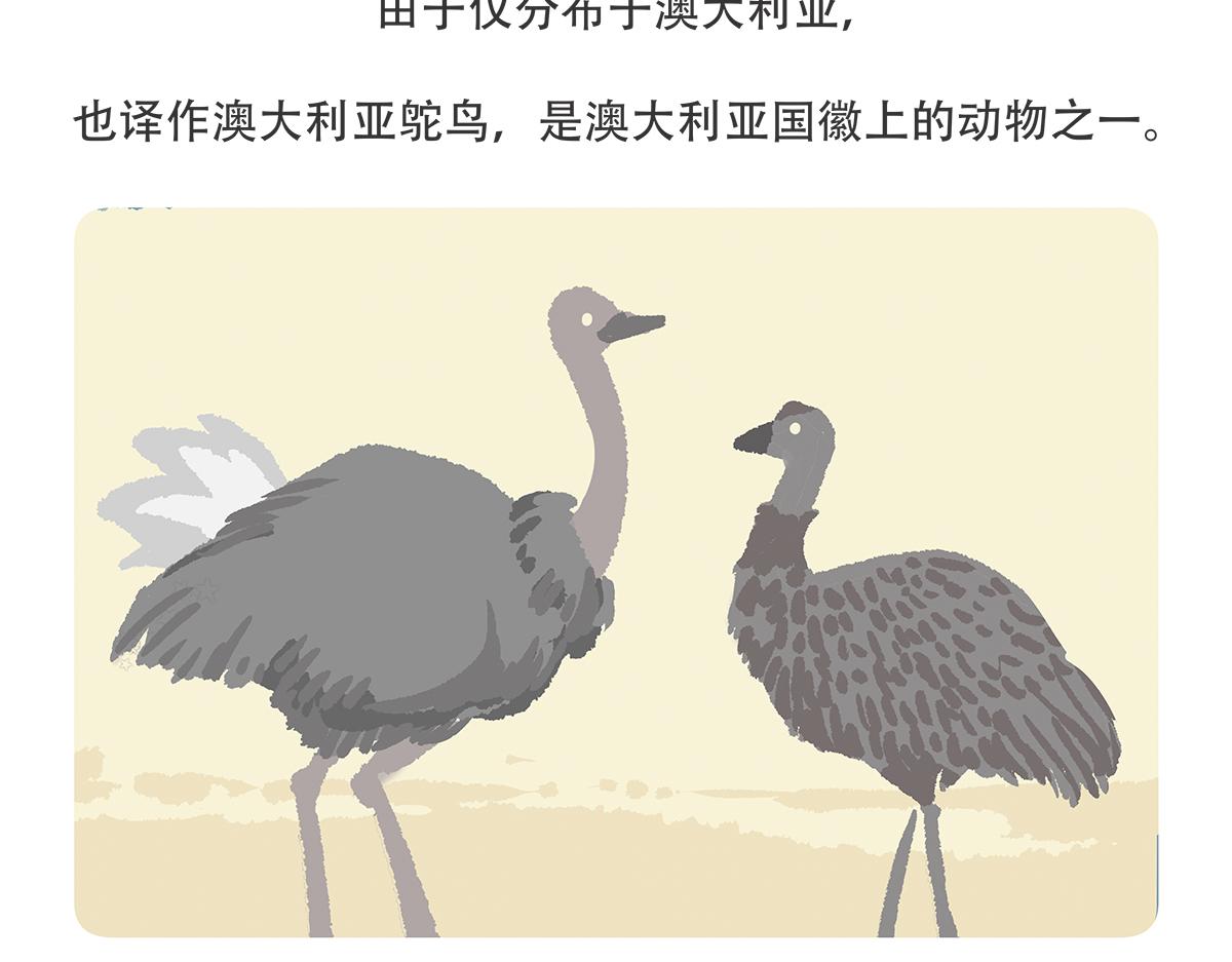 胖达熊猫棒球漫画,第104话2图