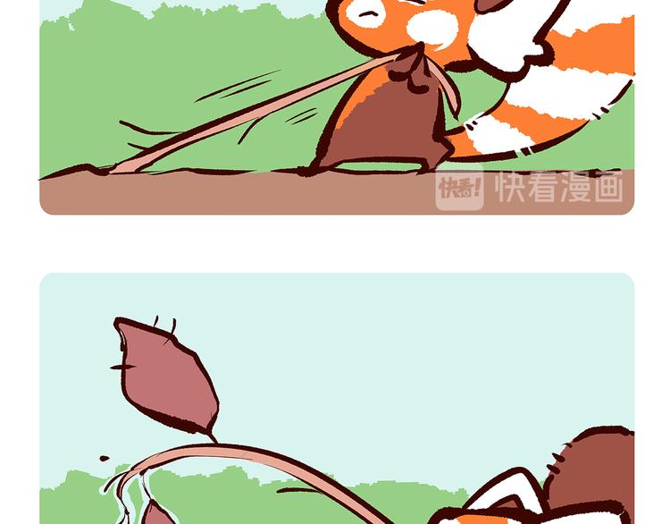 胖达熊猫棒球漫画,第25话2图