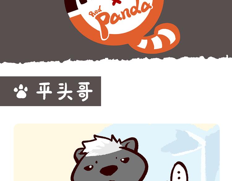 胖达熊猫棒球漫画,第5话1图