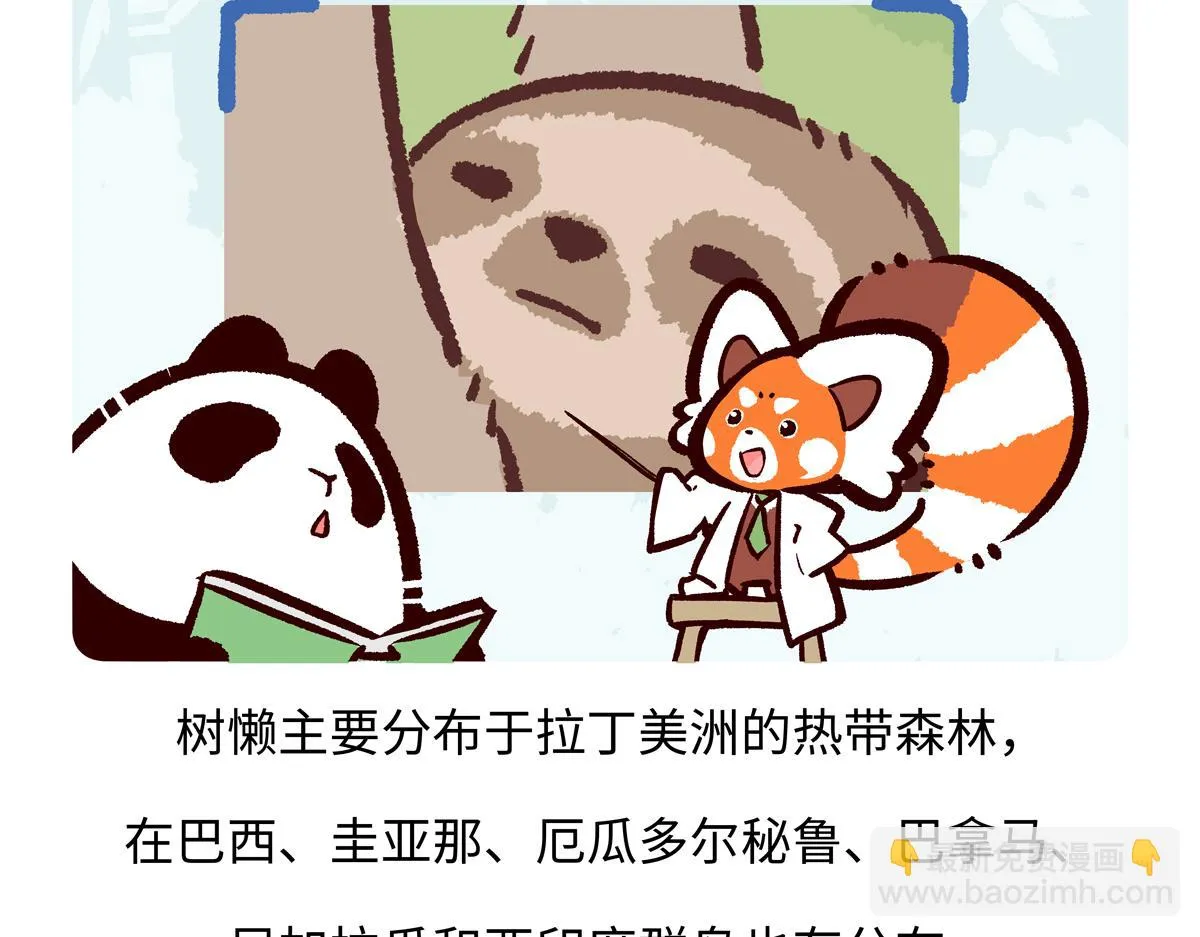 胖达熊猫棒球漫画,第212话2图