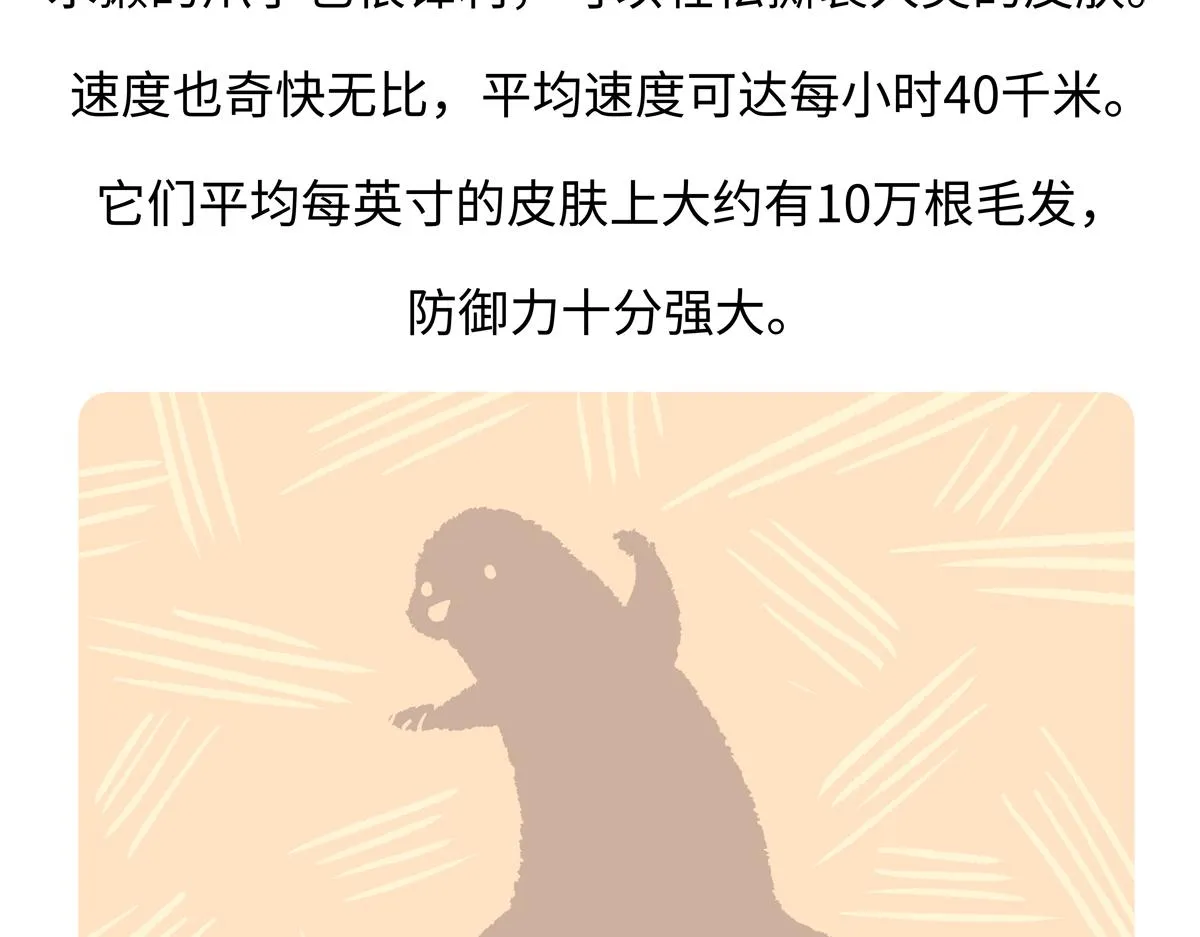 胖达熊猫棒球漫画,第202话1图