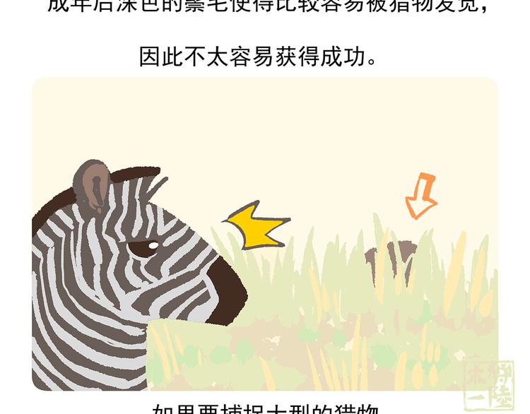 胖达熊猫棒球漫画,第8话2图