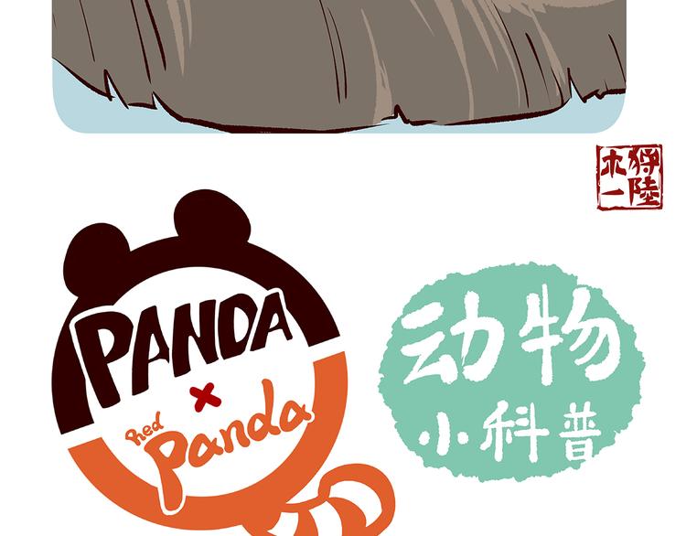 胖达熊猫棒球漫画,第22话1图