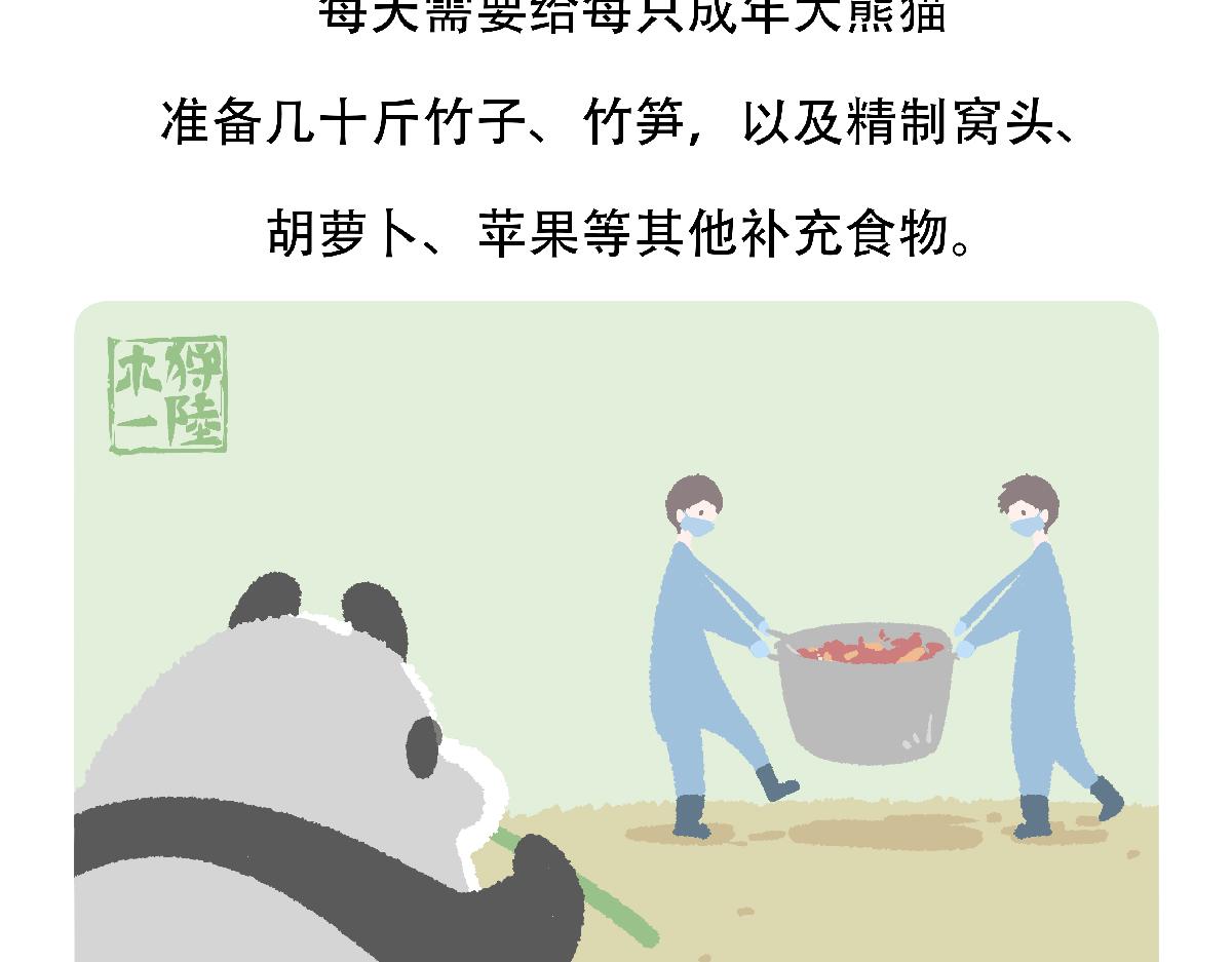 胖达熊猫棒球漫画,第123话2图