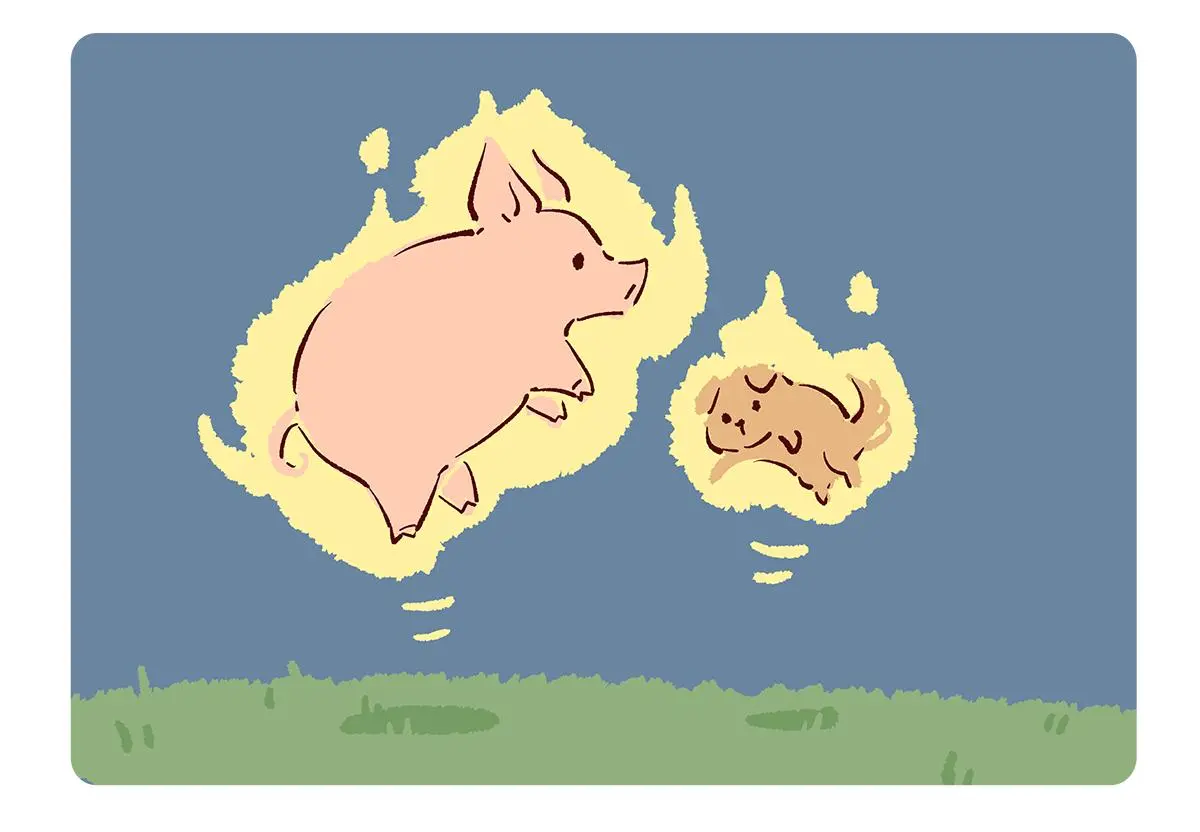 胖达熊猫棒球漫画,第184话2图