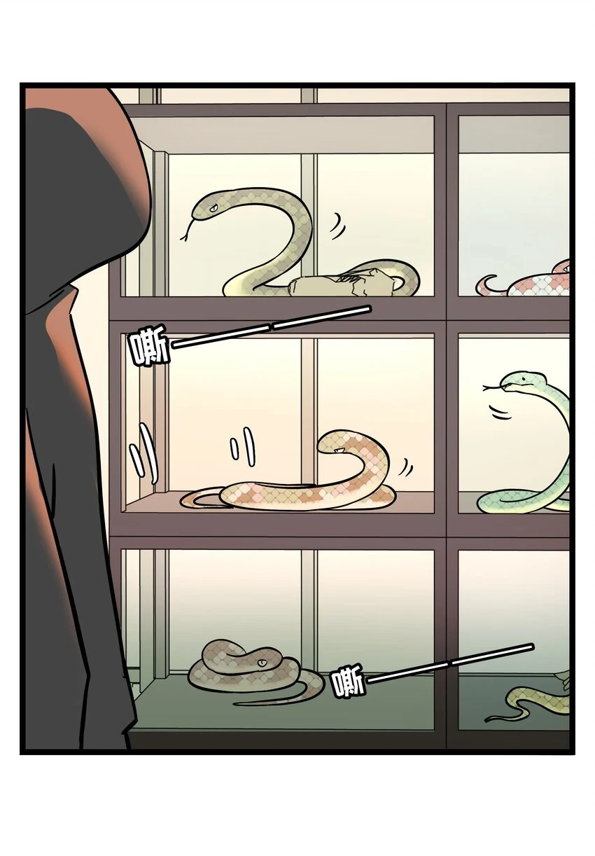 荆棘之心漫画,030 “双胞胎”的斗争（附加新年福利）2图