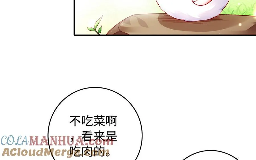 千金不换下一句漫画,番外 神兽的饲养方式1图