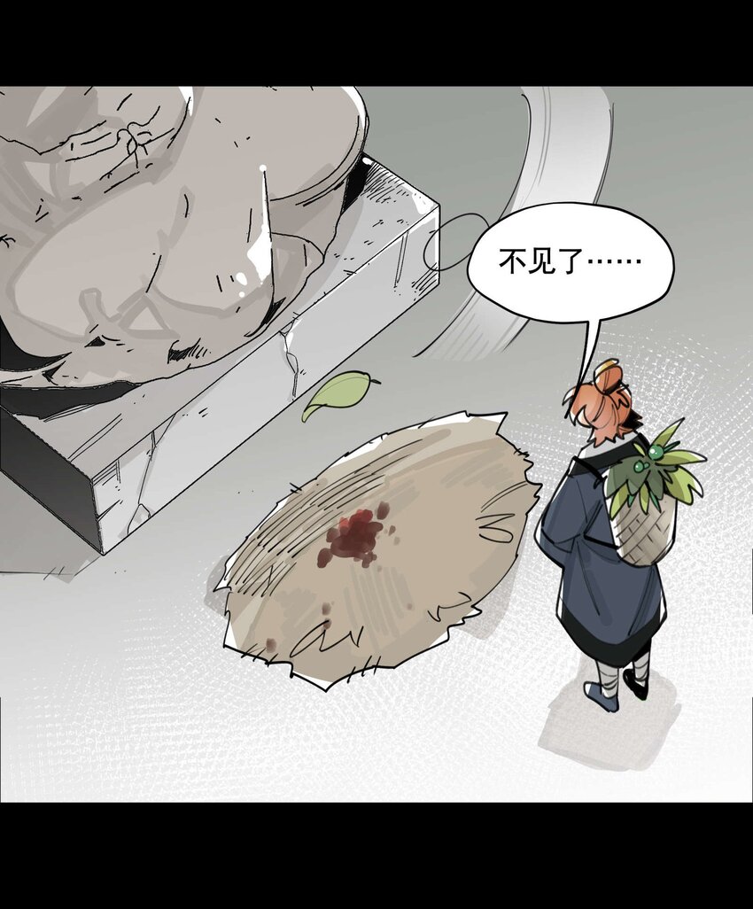 兄台看见我弟了吗漫画,056 意外展开1图