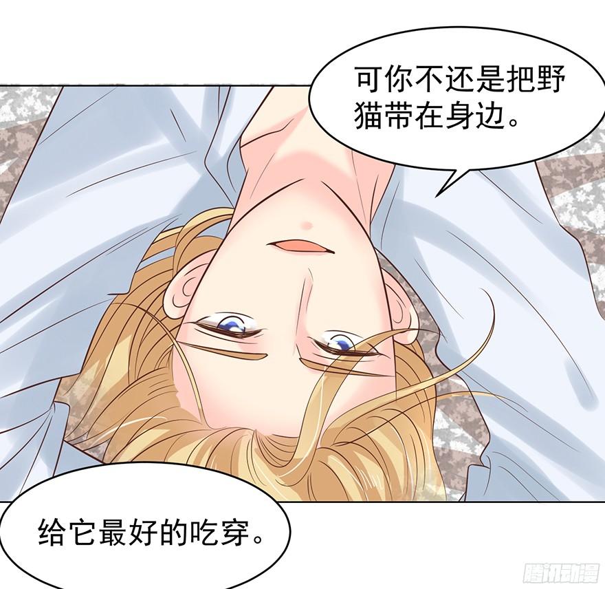 亿万奶爸漫画下拉式无广告漫画,小野猫2图