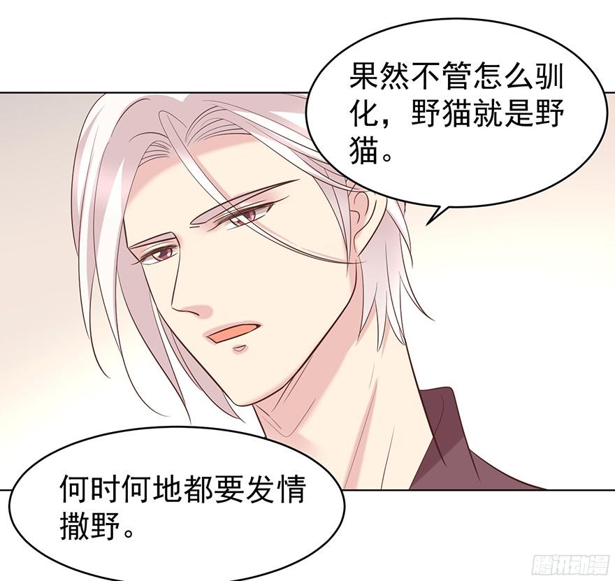 亿万奶爸漫画免费完整版漫画,小野猫2图