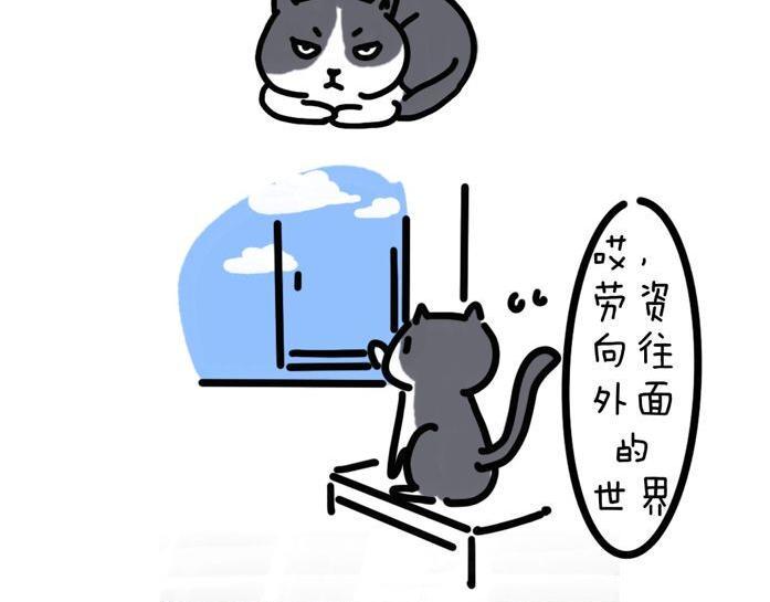 我和女儿死后第三年全文免费漫画,家里多了只猫2图