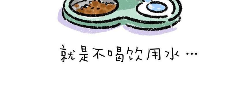 我和女儿死后第三年全文免费漫画,家里多了只猫1图