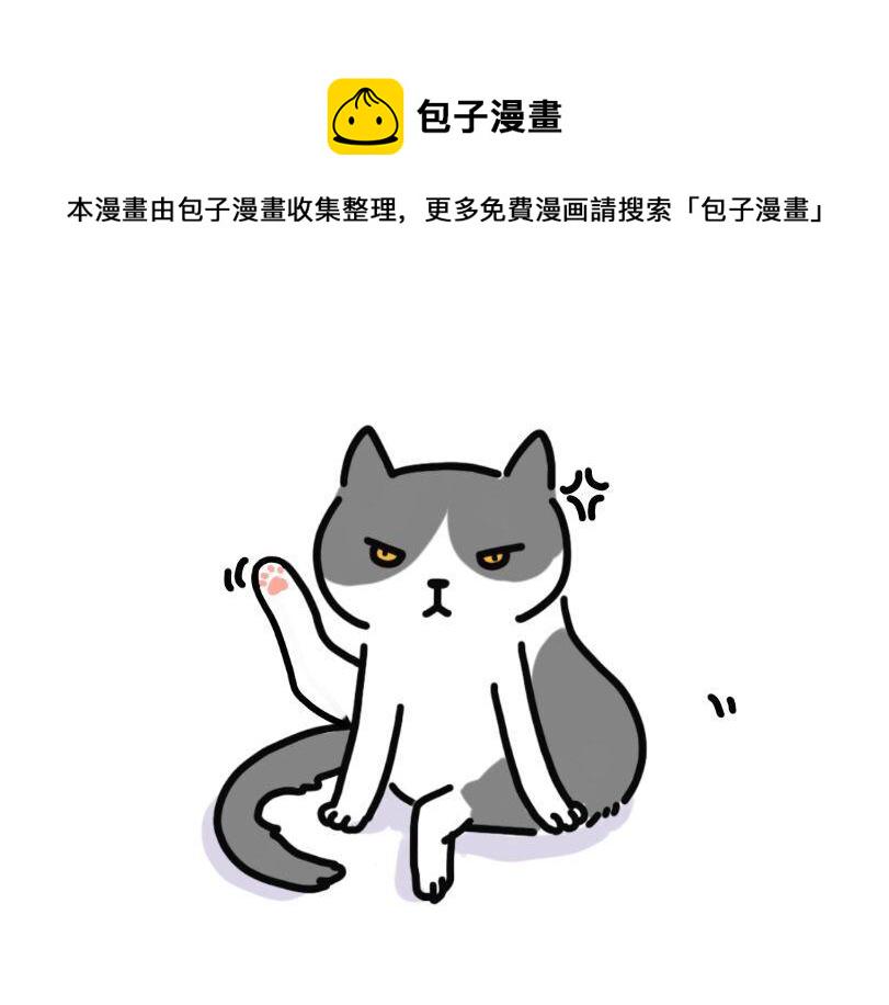 我和女儿男朋友小徐漫画,家里多了只猫1图