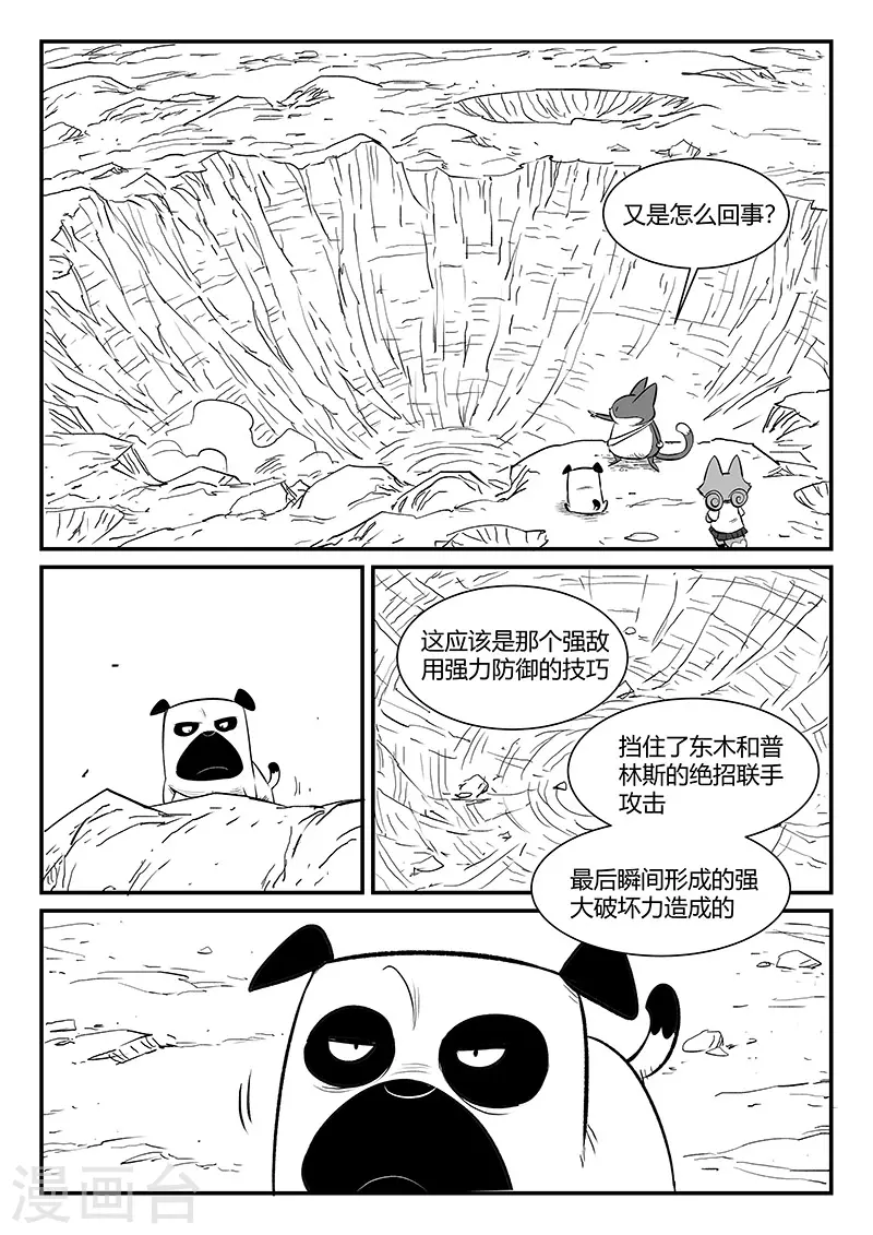 影子猫野生动物漫画,第315话 分头行动1图