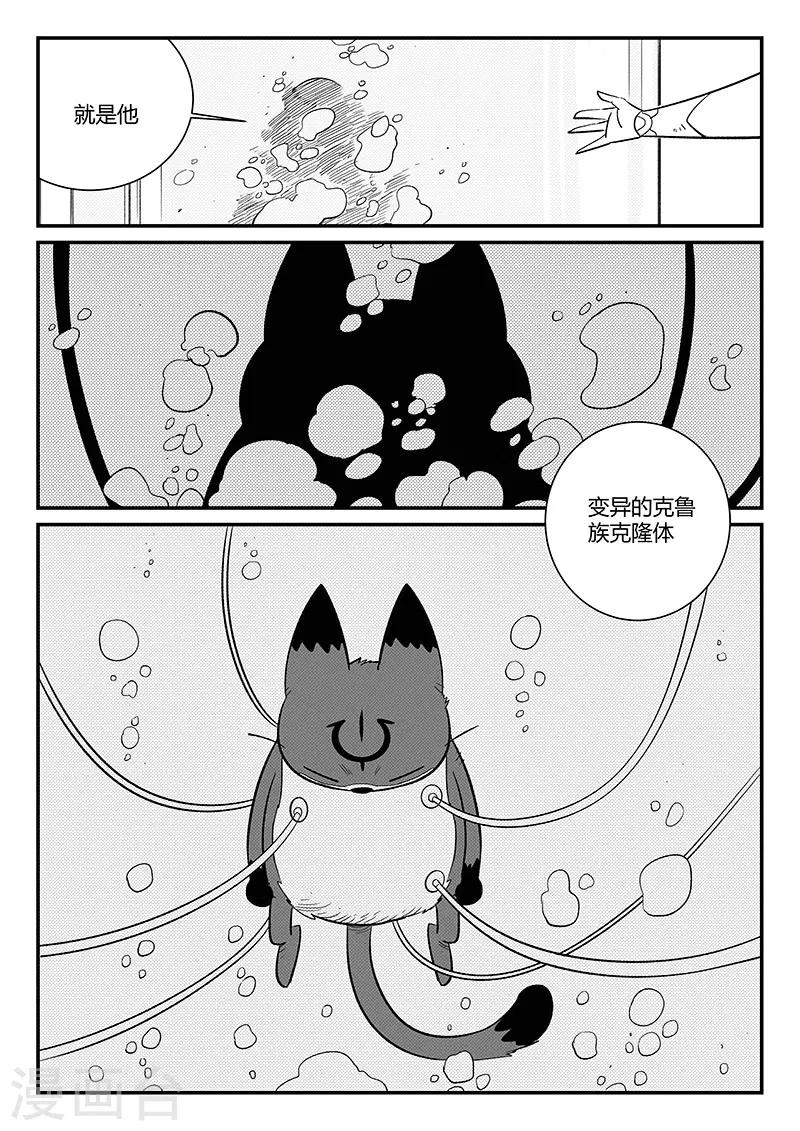 影子猫粮漫画,第290话 亦真又似幻1图