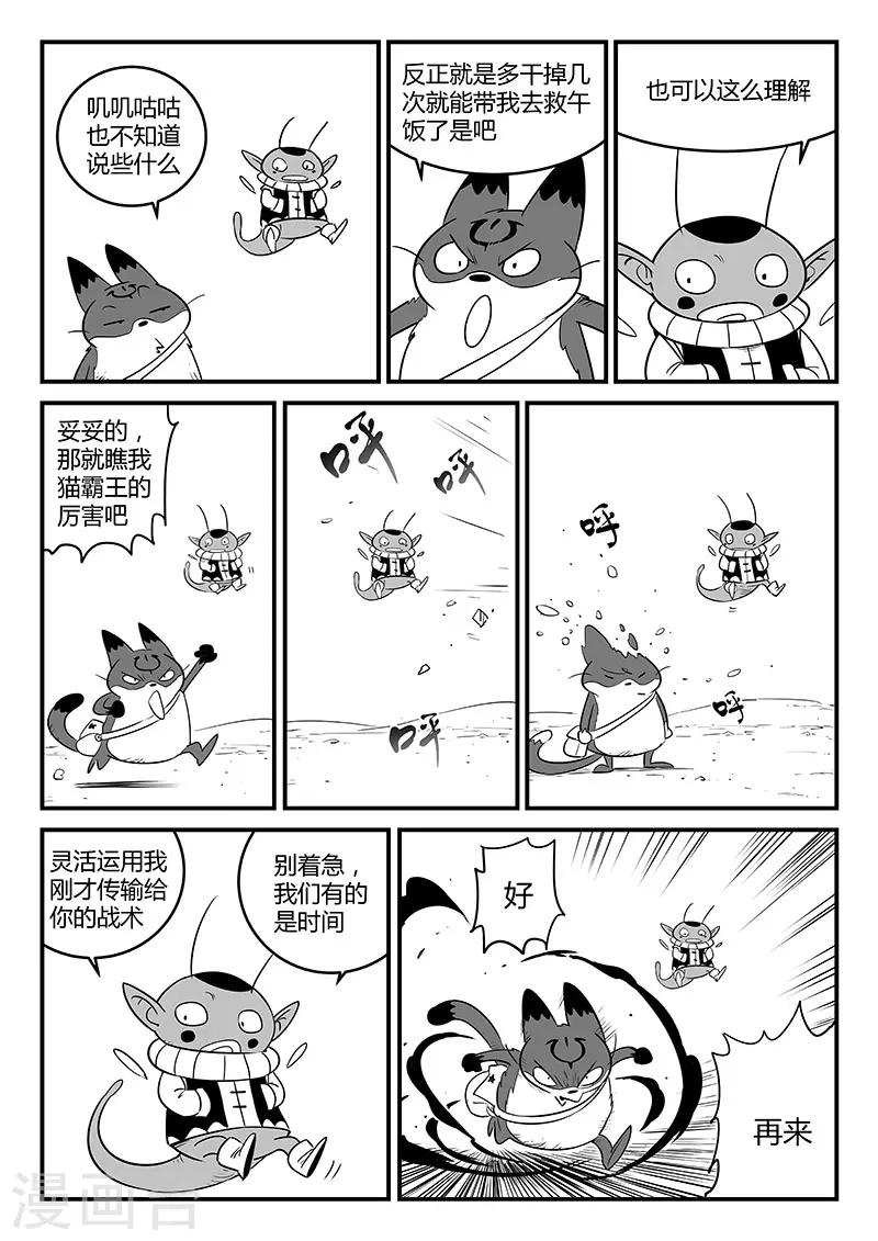 影子猫作品漫画,第248话 特训与特训之外2图