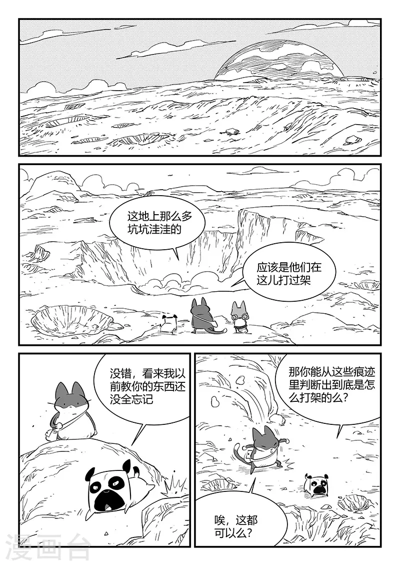 影子猫免费漫画漫画,第315话 分头行动1图