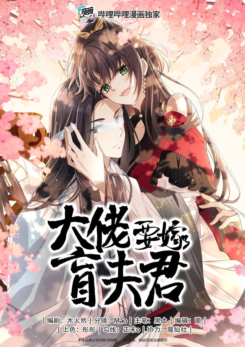 大佬要嫁盲夫君漫画,024 夫人，你要做什么？1图