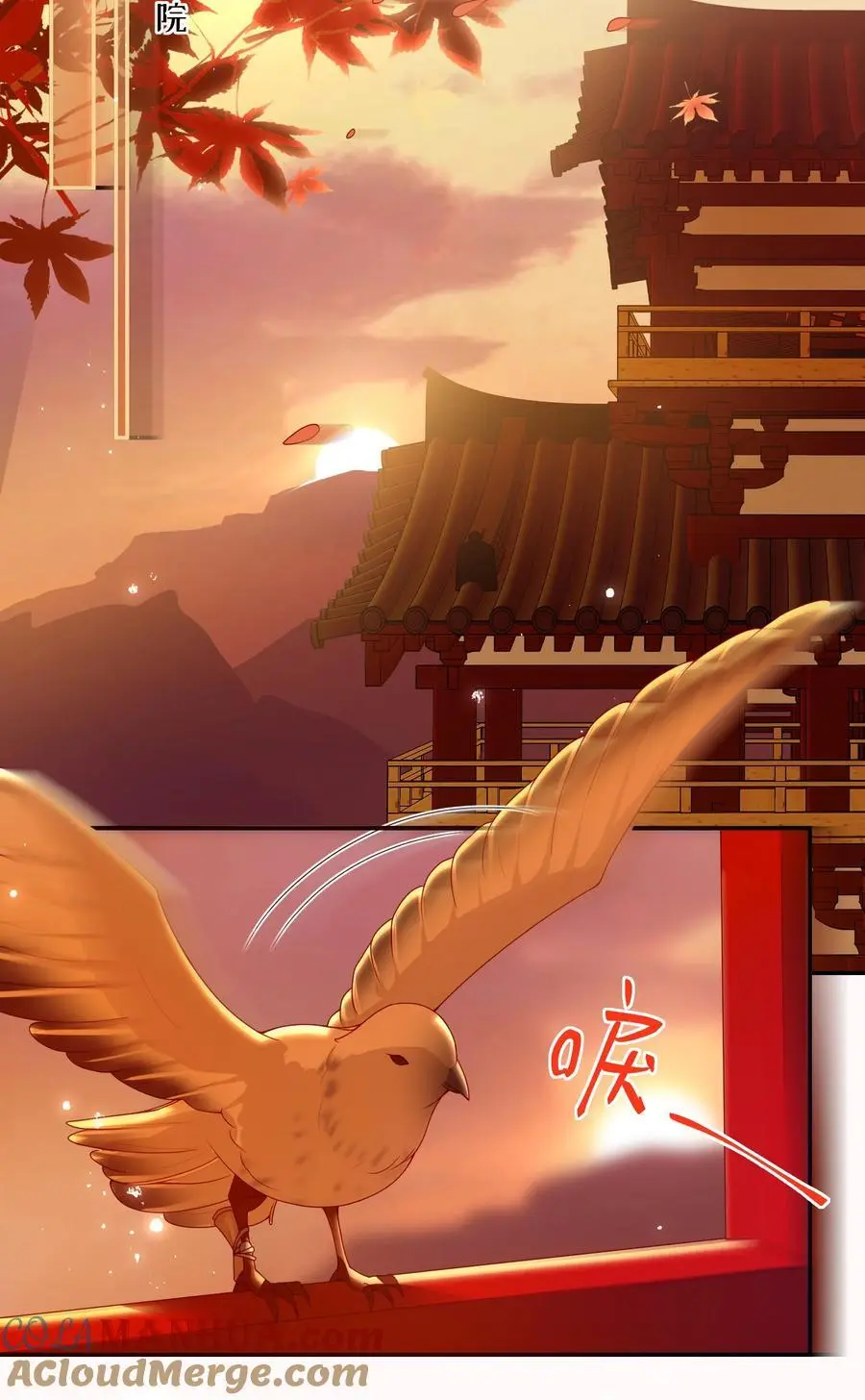 大佬要嫁盲夫君漫画完整版漫画,074 计划开始1图