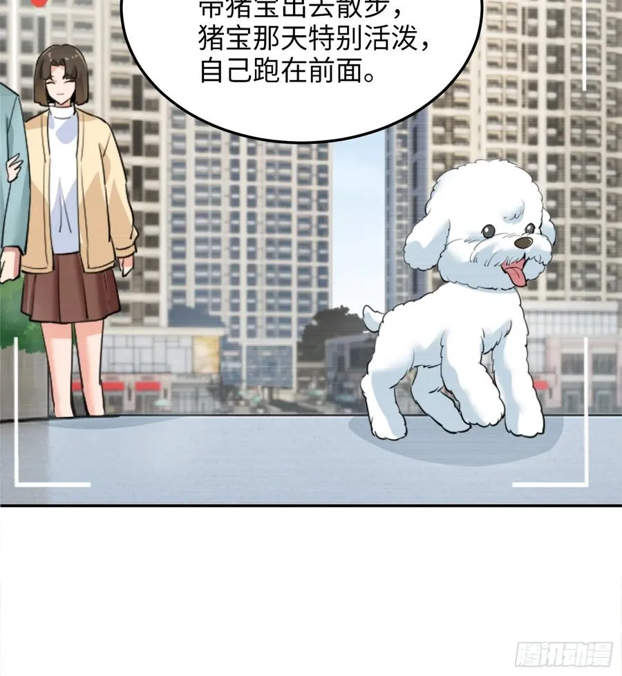 硬核普法！较真系统在线发钱！漫画,31集：被人肉了？！2图