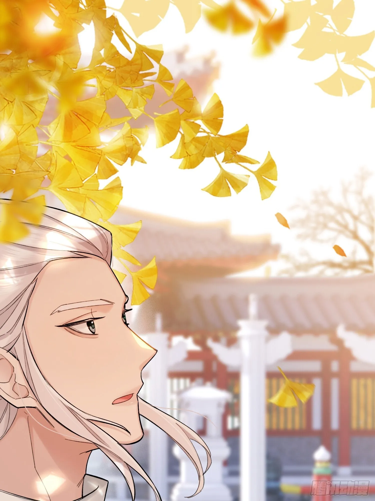 旧雨新知打一动物漫画,喜轿2图