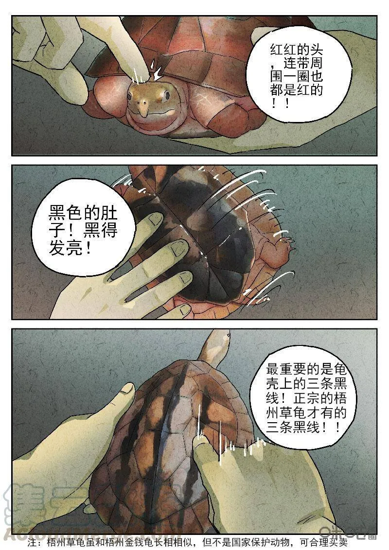 极刑饭僵尸王漫画漫画,第199话1图
