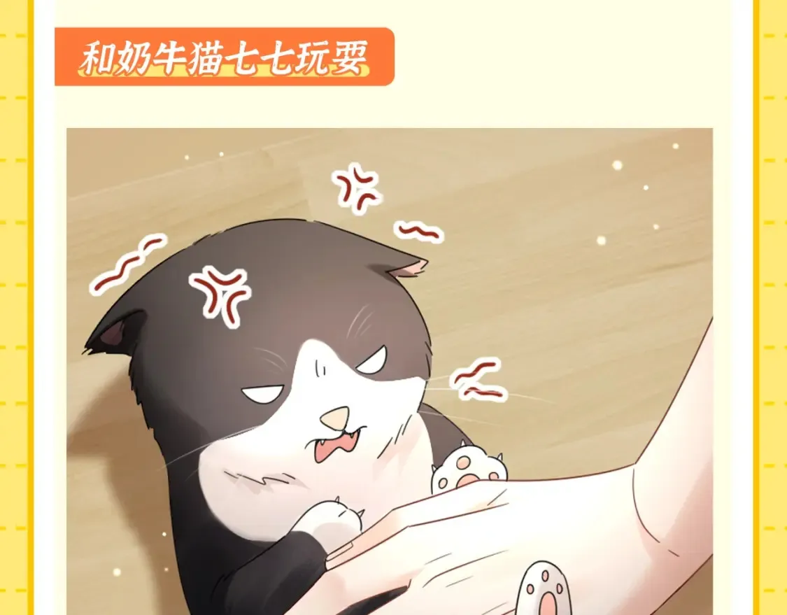 严禁造谣全文阅读漫画,第1期 特别企划：当他变成猫猫后2图