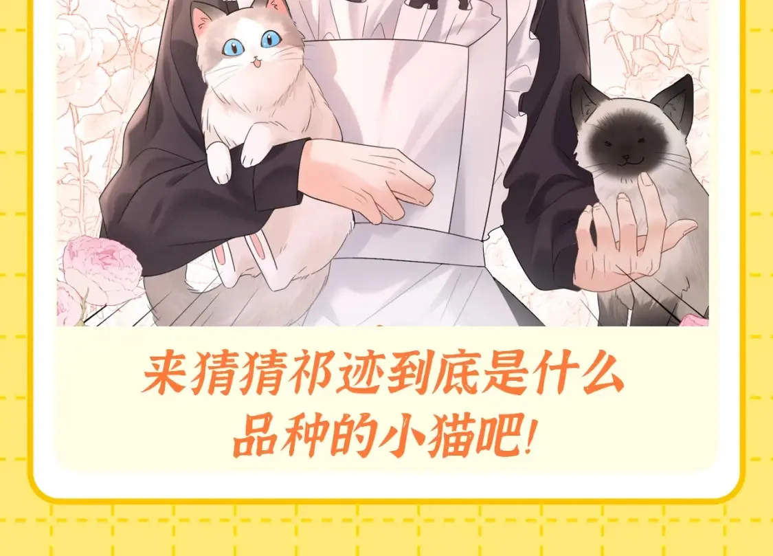 严禁造谣全文阅读漫画,第1期 特别企划：当他变成猫猫后1图