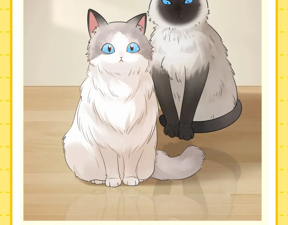 严禁造谣全文阅读漫画,第1期 特别企划：当他变成猫猫后1图